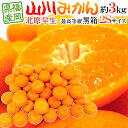 ”福岡 JAみなみ筑後 山川みかん 北原早生” 黒箱等級 小粒限定2Sサイズ 約3kg【予約 10月中旬以降】 送料無料