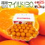 山川みかん ”福岡産 マイルド130” 秀品 小粒2Sサイズ 約3kg 産地箱【予約 11月以降】 送料無料