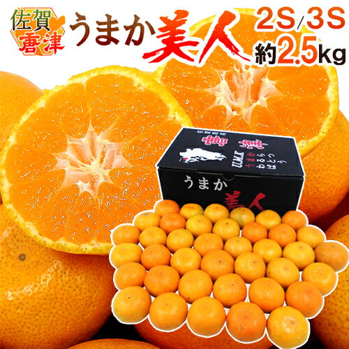 佐賀県 JAからつ ”うまか美人みかん” 2S/3Sサイズ 約2.5kg【予約 10月中旬以降】 送料無料のサムネイル