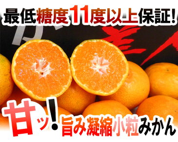 【送料無料】佐賀県 JAからつ ”うまか美人みかん” 2S/3Sサイズ 約5kg【予約 11月下旬以降】