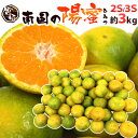 【8/25限定!全額ポイントバックの大チャンス】”宮崎産 南国の陽蜜(ひみつ)みかん” 秀品 2S/3Sサイズ 約3kg【予約 9月中下旬以降】 送料無料