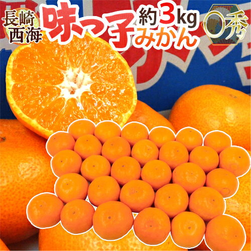 長崎 西海 ”味っ子みかん” ○秀品