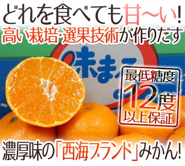 【送料無料】長崎 西海 ”味まるみかん” 秀品 約5kg 大きさおまかせ 最低糖度12度保証【予約 11月下旬以降】