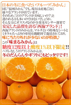 【送料無料】長崎 西海 ”味まるみかん” 秀品 約5kg 大きさおまかせ 最低糖度12度保証【予約 11月下旬以降】