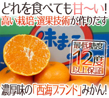 【送料無料】長崎 西海 ”味まるみかん” 訳あり 約5kg 大きさおまかせ 最低糖度12度保証【予約 11月下旬以降】