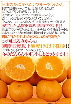 【送料無料】長崎 西海 ”味まるみかん” 訳あり 約5kg 大きさおまかせ 最低糖度12度保証【予約 11月下旬以降】