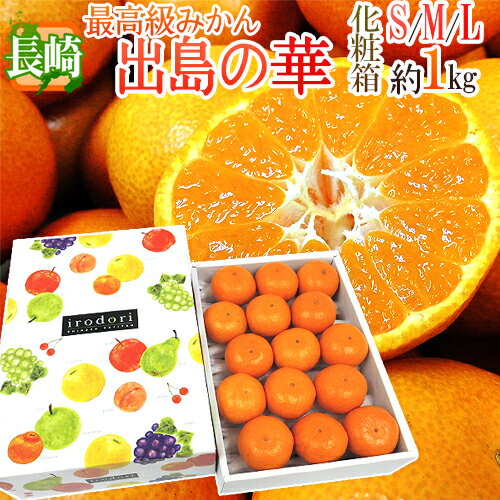 長崎産 ”出島の華” 秀品 S/M/Lサイズ 約1kg 化粧箱 味まる・味っ子の最上位等級【予約 12月中旬以降】 送料無料