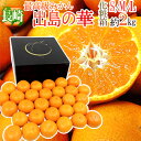 【送料無料】長崎産 ”出島の華” 秀品 S/M/Lサイズ 約2kg 化粧箱【予約 12月中旬以降】