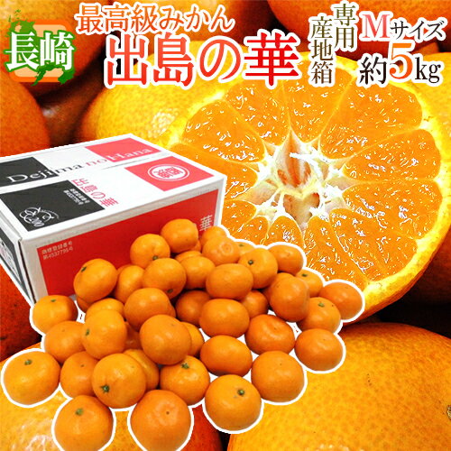 【送料無料】長崎産 ”出島の華” 秀品 Mサイズ 約5kg【予約 12月中旬以降】
