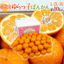 【送料無料】和歌山産 ”味姫ぽんかん” 秀品 L〜3L 約1...