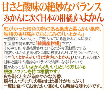 【送料無料】愛媛産 ”宮内いよかん” 秀品 L〜4Lサイズ 約9〜10kg【予約 1月中旬以降】