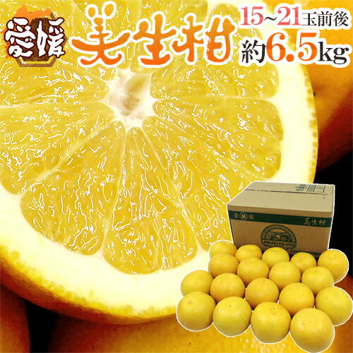 愛媛県 ”美生柑（みしょうかん）” 秀/優品 15〜21玉前後 約6.5kg【予約 4月以降】 送料無料のサムネイル