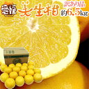 愛媛県 ”美生柑(みしょうかん)” 訳あり 15〜21玉前後 約6.5kg【予約 4月以降】 送料無料