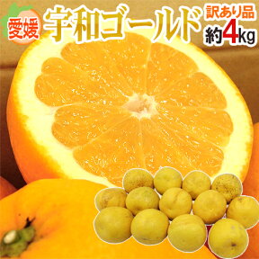 愛媛県 ”宇和ゴールド” 訳あり 約4kg 大きさおまかせ【予約 4月下旬以降】 送料無料