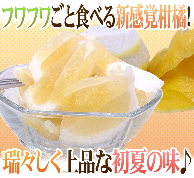 高知県 ”小夏” 訳あり 約5kg 大きさおまかせ【予約 4月以降】 送料無料