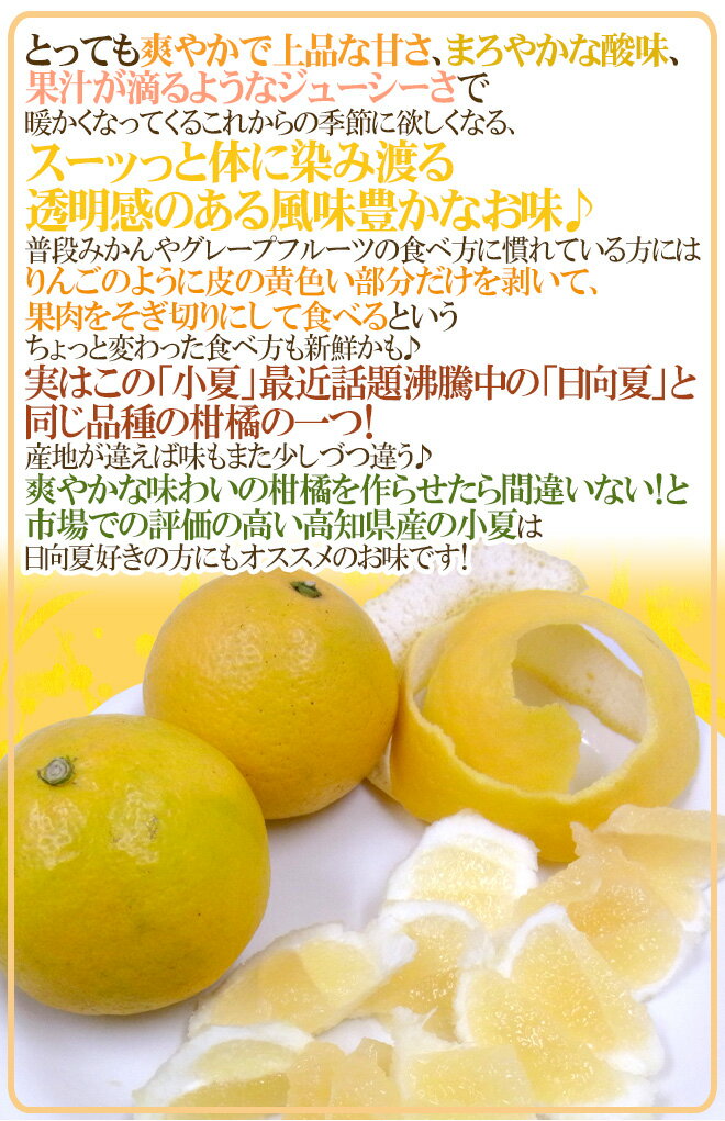 高知県 ”小夏” 訳あり 約5kg 大きさおまかせ【予約 4月以降】 送料無料