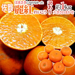 https://thumbnail.image.rakuten.co.jp/@0_mall/auc-kurashi-kaientai/cabinet/2018citrus/041-hama1kgw01.jpg