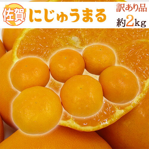 佐賀産 ”にじゅうまる” 約2kg 大きさおまかせ ご家庭用【予約 3月以降】 送料無料のサムネイル