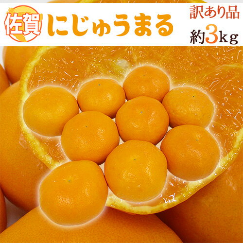 ”佐賀産 にじゅうまる” 約3kg 大きさおまかせ ご家庭用【予約 3月以降】 送料無料のサムネイル