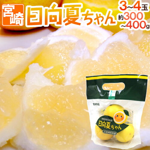 宮崎産 ”日向夏ちゃん” 3〜4玉 約300〜400g【予約 2月中旬以降】のサムネイル