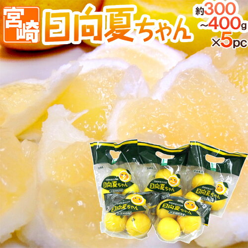 宮崎産 ”日向夏ちゃん” 5袋（1袋あたり3〜4玉 約300〜400g）【予約 2月中旬以降】 送料無料のサムネイル