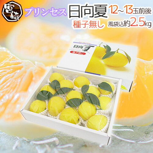 宮崎県産 ”プリンセス 日向夏” 赤秀品 12〜13玉前後 風袋込約2.5kg 化粧箱 種子無し【予約 12月下旬以降】 送料無料のサムネイル