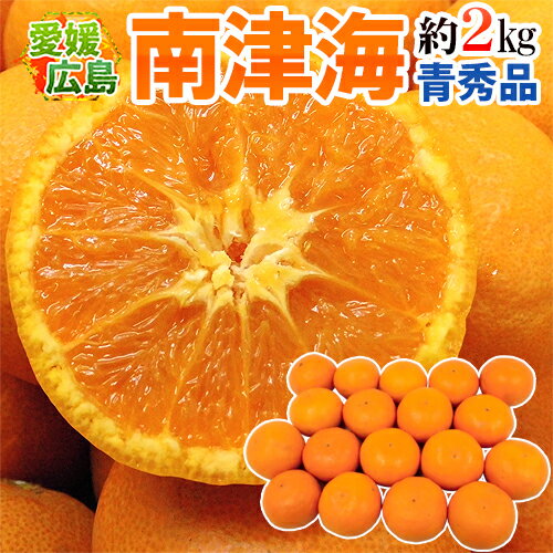 愛媛・広島 ”南津海みかん（なつみみかん）” 青秀品 約2kg 大きさおまかせ【予約 4月下旬以降】 送料無料のサムネイル