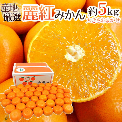 ”麗紅（れいこう）みかん” 秀品 約5kg 大きさおまかせ 産地厳選 麗江【予約 2月末以降】 送料無料のサムネイル