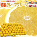 ”和製グレープフルーツ” 訳あり 約16kg 大きさおまかせ【予約 4月以降】 送料無料