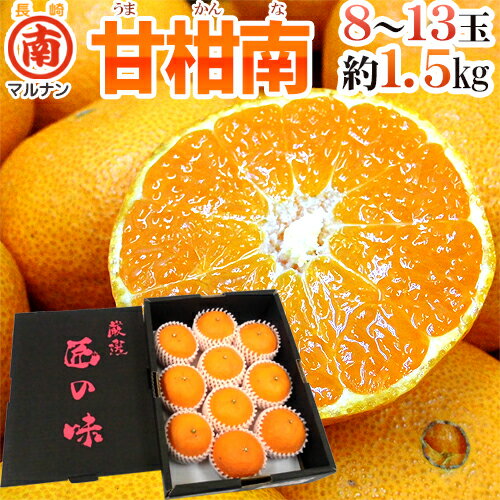 長崎産 津之輝 ”マルナン甘柑南（うまかんな）” 秀品 8〜13玉前後 約1.5kg 化粧箱【予約 2月以降】 送..