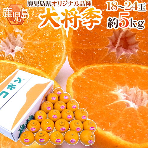 鹿児島産 ”デコポン 大将季” 秀品 18〜24玉 約5kg【予約 1月下旬以降】 送料無料のサムネイル