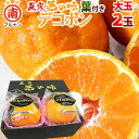 長崎 マルナン ”匠の味 葉付きデコポン” 秀品 大玉2玉 専用化粧箱【予約 12月以降】 送料無料