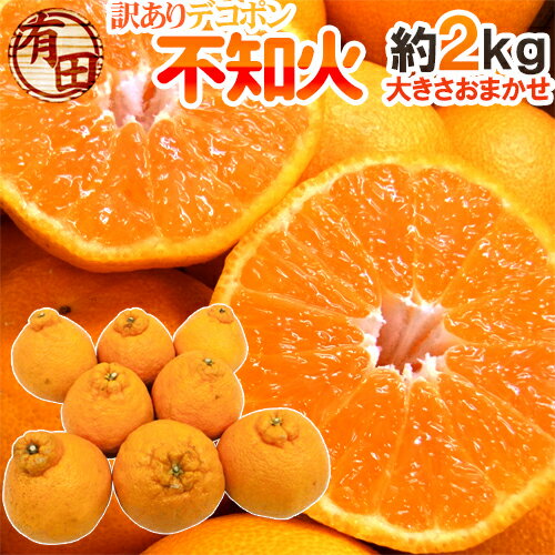 有田産 ”不知火・しらぬい（訳ありデコポン）” 約2kg 大きさおまかせ《2セット購入で送料無料、3セット購入で2kg、4セットで4kg、5セットで6kg、6セットで8kgおまけ》【予約 2月下旬以降】のサムネイル
