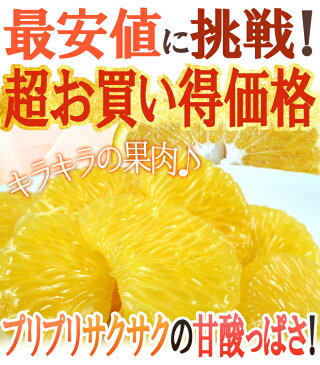 【送料無料】和歌山産 ”はっさく” 訳あり 約9〜10kg 大きさおまかせ ハッサク【予約 1月下旬以降】