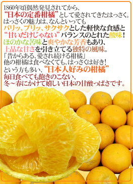 【送料無料】和歌山産 ”はっさく” 訳あり 約9〜10kg 大きさおまかせ ハッサク【予約 1月下旬以降】