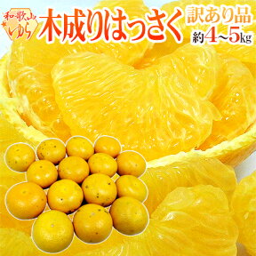 和歌山県由良町産 ”ゆらの木成りはっさく” 訳あり L/2L/3L/4L 約4〜5kg 星2〜3つ（★★〜★★★）由良八朔【予約 3月以降】 送料無料