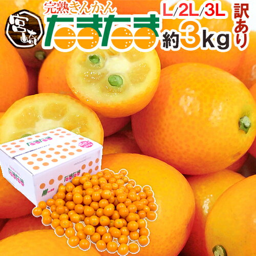 【安い金柑】訳ありなどでお得に購入できる！美味しい金柑のおすすめは？