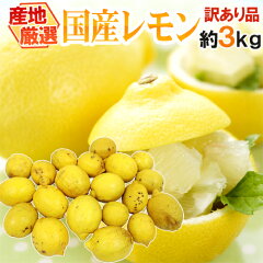 https://thumbnail.image.rakuten.co.jp/@0_mall/auc-kurashi-kaientai/cabinet/2018lemon/048-lemon3kgw01.jpg