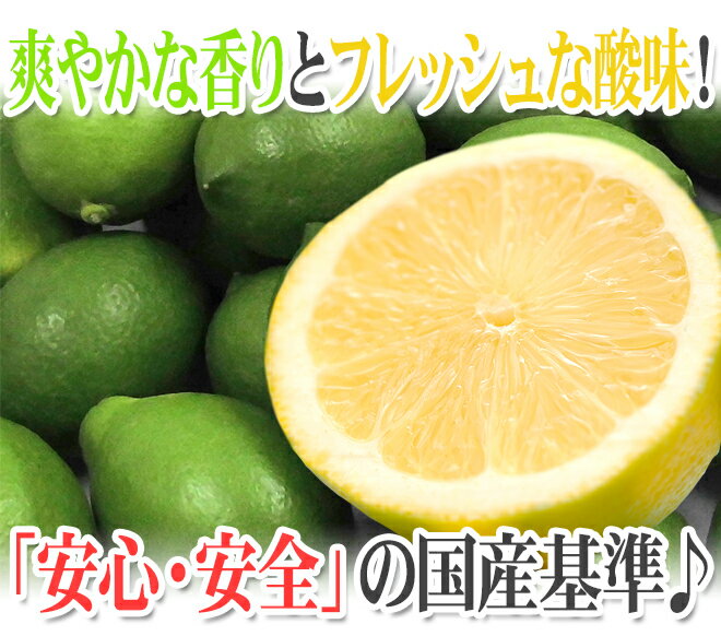 ”国産レモン” 約5kg 30〜40玉前後 M〜L 産地厳選【予約 入荷次第発送】 送料無料