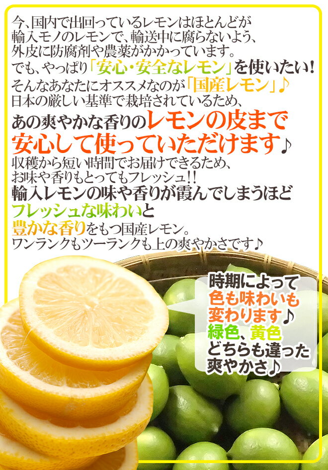 ”国産レモン” 約5kg 30〜40玉前後 M〜L 産地厳選【予約 入荷次第発送】 送料無料