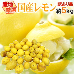 https://thumbnail.image.rakuten.co.jp/@0_mall/auc-kurashi-kaientai/cabinet/2018lemon/048-lemon5kgw01.jpg