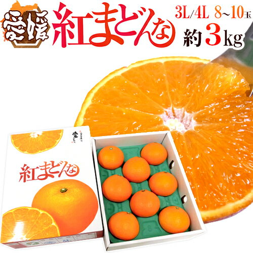 愛媛産 ”紅まどんな” 秀品 超大玉限定3L/4L 8～10玉 約3kg【予約 12月以降】 送料無料