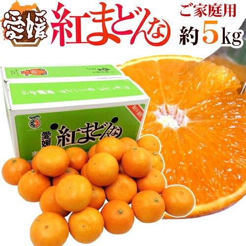 愛媛産 ”紅まどんな” 約5kg 大きさおまかせ ご家庭用【予約 12月以降】 送料無料のサムネイル