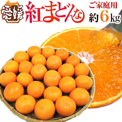 ”愛媛産 紅まどんな” 約6kg 大きさおまかせ ご家庭用【予約 12月以降】 送料無料(4)