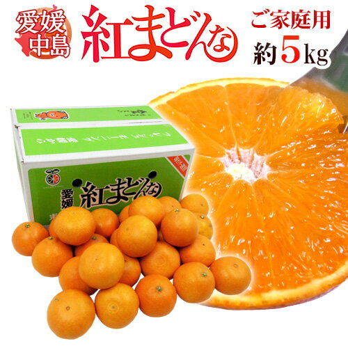 愛媛中島産 ”紅まどんな” 約5kg 大きさおまかせ ご家庭用【予約 12月以降】 送料無料