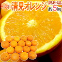 【エントリーで200Pプレゼント】【送料無料】和歌山産 ”清見オレンジ” 訳あり 約5kg 大きさおまかせ【予約 3月以降】