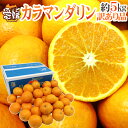 全国お取り寄せグルメ愛媛食品全体No.98