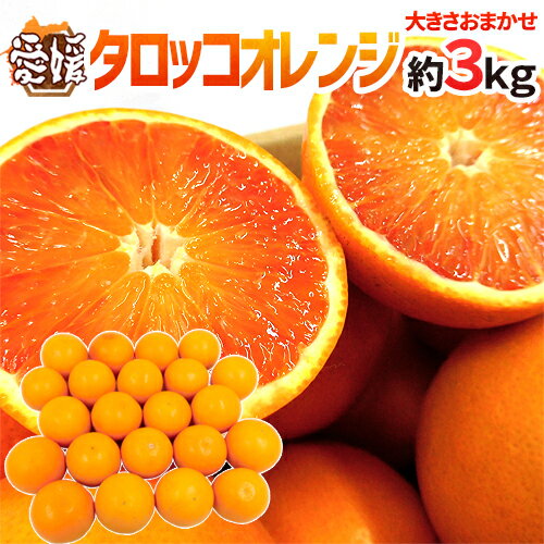 ”愛媛県 タロッコオレンジ” 秀品 約3kg 大きさおまかせ ブラッドオレンジ【予約 4月以降】 送料無料のサムネイル
