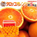 愛媛県 ”タロッコオレンジ” 秀品 約5kg 大きさおまかせ ブラッドオレンジ【予約 4月以降】 送料無料