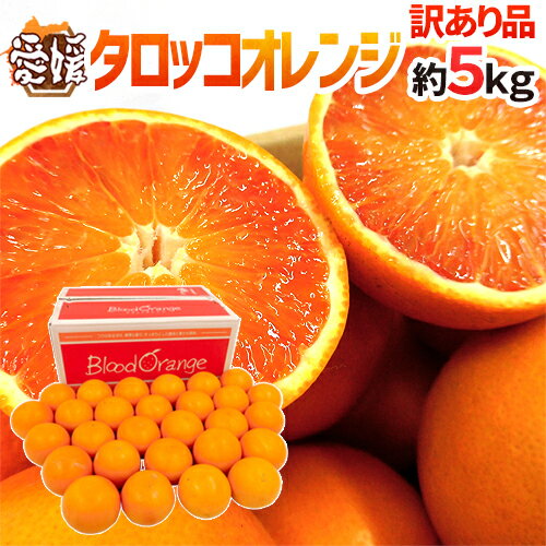 愛媛県 ”タロッコオレンジ” 訳あり 約5kg 大きさおまかせ ブラッドオレンジ【予約 4月以降】 送料無料のサムネイル